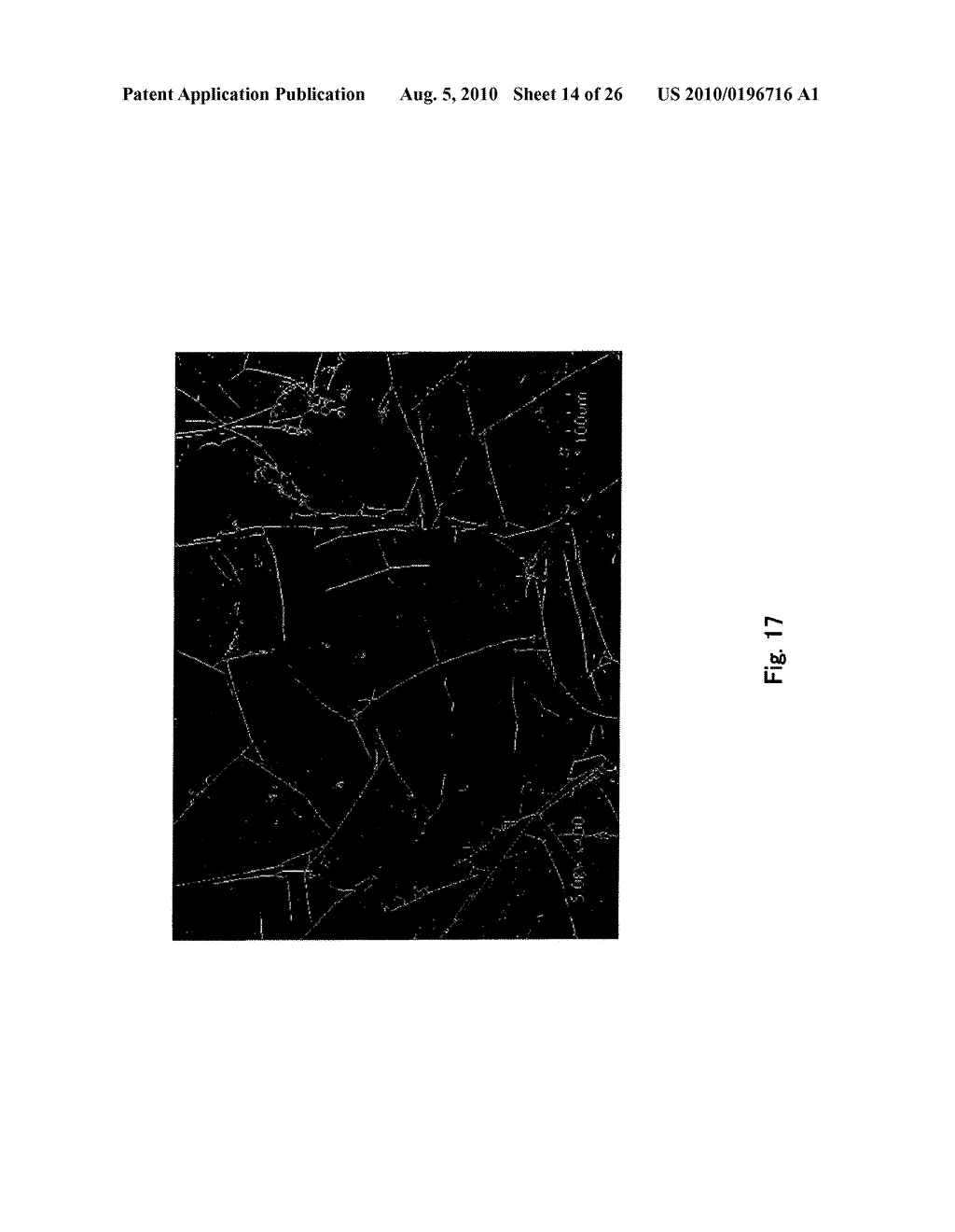 Graphite Film and Graphite Composite Film - diagram, schematic, and image 15