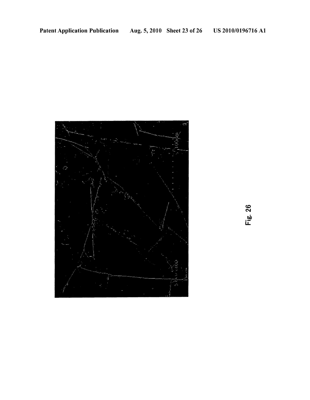 Graphite Film and Graphite Composite Film - diagram, schematic, and image 24