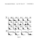 Mesenchymal Stem Cell-Mediated Functional Tooth Regeneration diagram and image