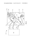 FLUID DELIVERY SYSTEM FOR PATIENT SIMULATION MANIKIN diagram and image