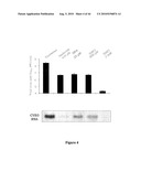  METHOD OF DRUG DESIGN diagram and image