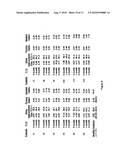 METHODS OF VALIDATING CANDIDATE COMPOUNDS FOR USE IN TREATING COPD AND OTHER DISEASES diagram and image