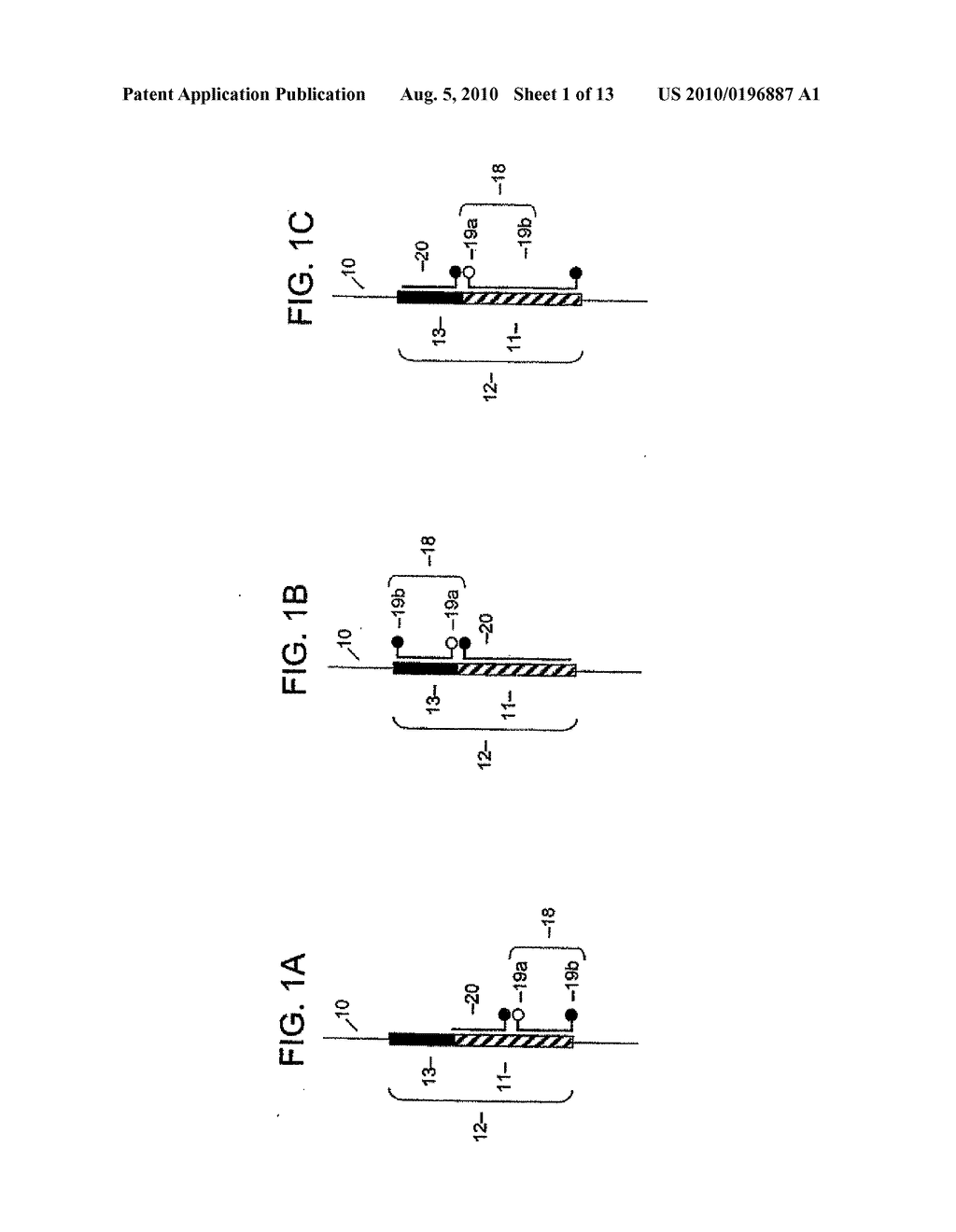 COMPOSITIONS AND METHODS FOR MULTIPLEX ANALYSIS OF POLYNUCLEOTIDES - diagram, schematic, and image 02