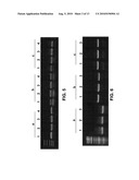 AMBIENT TEMPERATURE STABLE KITS FOR MOLECULAR DIAGNOSTICS diagram and image