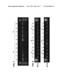 AMBIENT TEMPERATURE STABLE KITS FOR MOLECULAR DIAGNOSTICS diagram and image