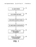 RARE CELL DETECTION USING FLAT-PANEL IMAGER AND CHEMILUMINESCENT OR RADIOISOTOPIC TAGS diagram and image