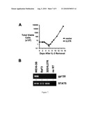 Method of Detecting Oncogenesis of Hematopoietic Cells diagram and image