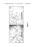 PLURIPOTENT ADULT STEM CELLS diagram and image