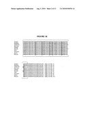 PRION ASSAY diagram and image