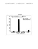 PRION ASSAY diagram and image