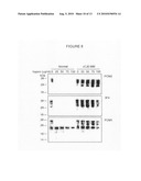 PRION ASSAY diagram and image