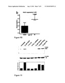 TREATING PRE-ECLEMPSIA AND CARDIOVASCULAR DISEASES diagram and image