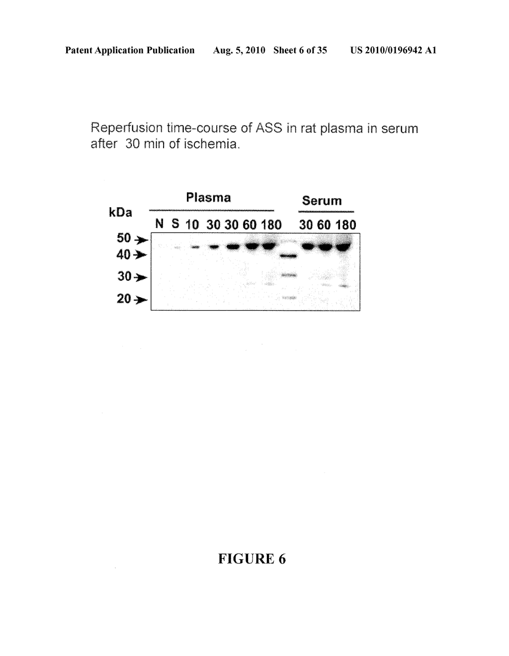 BIOMARKERS OF LIVER INJURY - diagram, schematic, and image 07