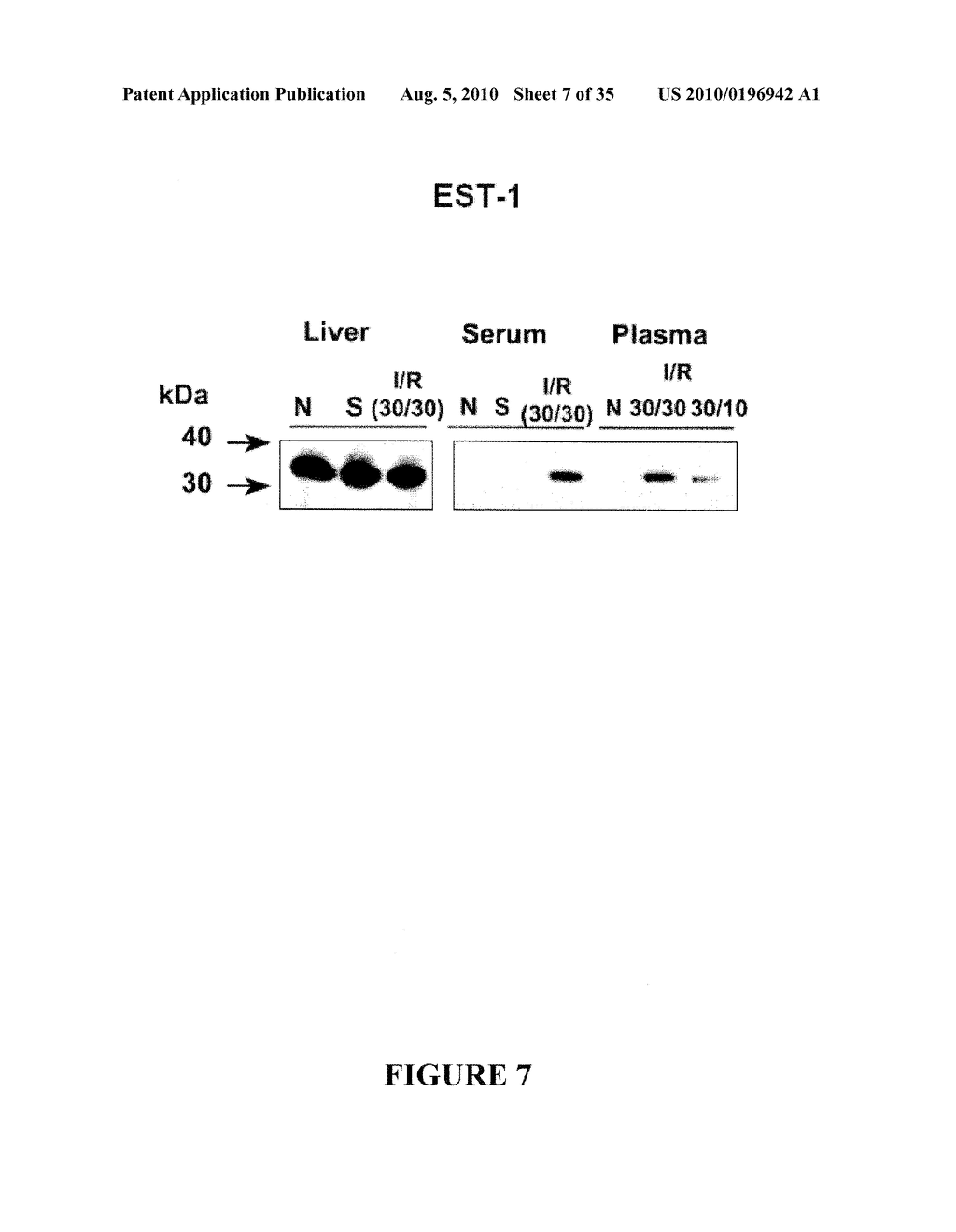 BIOMARKERS OF LIVER INJURY - diagram, schematic, and image 08