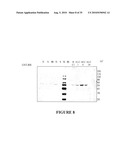 BIOMARKERS OF LIVER INJURY diagram and image