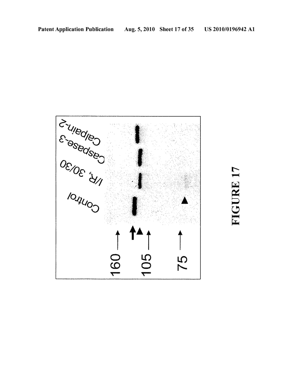 BIOMARKERS OF LIVER INJURY - diagram, schematic, and image 18