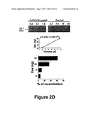 IDENTIFICATION AND CHARACTERIZATION OF RACEMASES, DEFINITION OF PROTEIN SIGNATURES, AND A TEST FOR DETECTING D-AMINO ACID AND FOR SCREENING MOLECULES CAPABLE OF INHIBITING THE ACTIVITY OF RACEMASE, ESPECIALLY PROLINE RACEMASE diagram and image