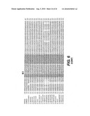 IDENTIFICATION AND CHARACTERIZATION OF RACEMASES, DEFINITION OF PROTEIN SIGNATURES, AND A TEST FOR DETECTING D-AMINO ACID AND FOR SCREENING MOLECULES CAPABLE OF INHIBITING THE ACTIVITY OF RACEMASE, ESPECIALLY PROLINE RACEMASE diagram and image