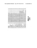 IDENTIFICATION AND CHARACTERIZATION OF RACEMASES, DEFINITION OF PROTEIN SIGNATURES, AND A TEST FOR DETECTING D-AMINO ACID AND FOR SCREENING MOLECULES CAPABLE OF INHIBITING THE ACTIVITY OF RACEMASE, ESPECIALLY PROLINE RACEMASE diagram and image