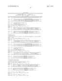 IDENTIFICATION AND CHARACTERIZATION OF RACEMASES, DEFINITION OF PROTEIN SIGNATURES, AND A TEST FOR DETECTING D-AMINO ACID AND FOR SCREENING MOLECULES CAPABLE OF INHIBITING THE ACTIVITY OF RACEMASE, ESPECIALLY PROLINE RACEMASE diagram and image