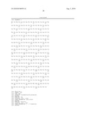 ALLELES OF THE OPCA GENE FROM CORYNEFORM BACTERIA diagram and image