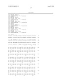 ALLELES OF THE OPCA GENE FROM CORYNEFORM BACTERIA diagram and image