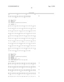 ALLELES OF THE OPCA GENE FROM CORYNEFORM BACTERIA diagram and image