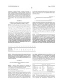 METHOD FOR THE PRODUCTION OF AN AQUEOUS GLUCOSE SOLUTION diagram and image