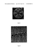 METHOD FOR OBTAINING ENERGY-GENERATING COMPOUNDS BY MEANS OF ELECTROMAGNETIC ENERGY diagram and image