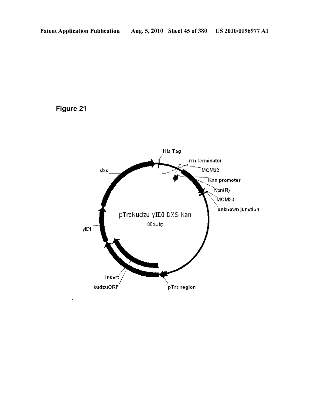 METHODS OF PRODUCING ISOPRENE AND A CO-PRODUCT - diagram, schematic, and image 46