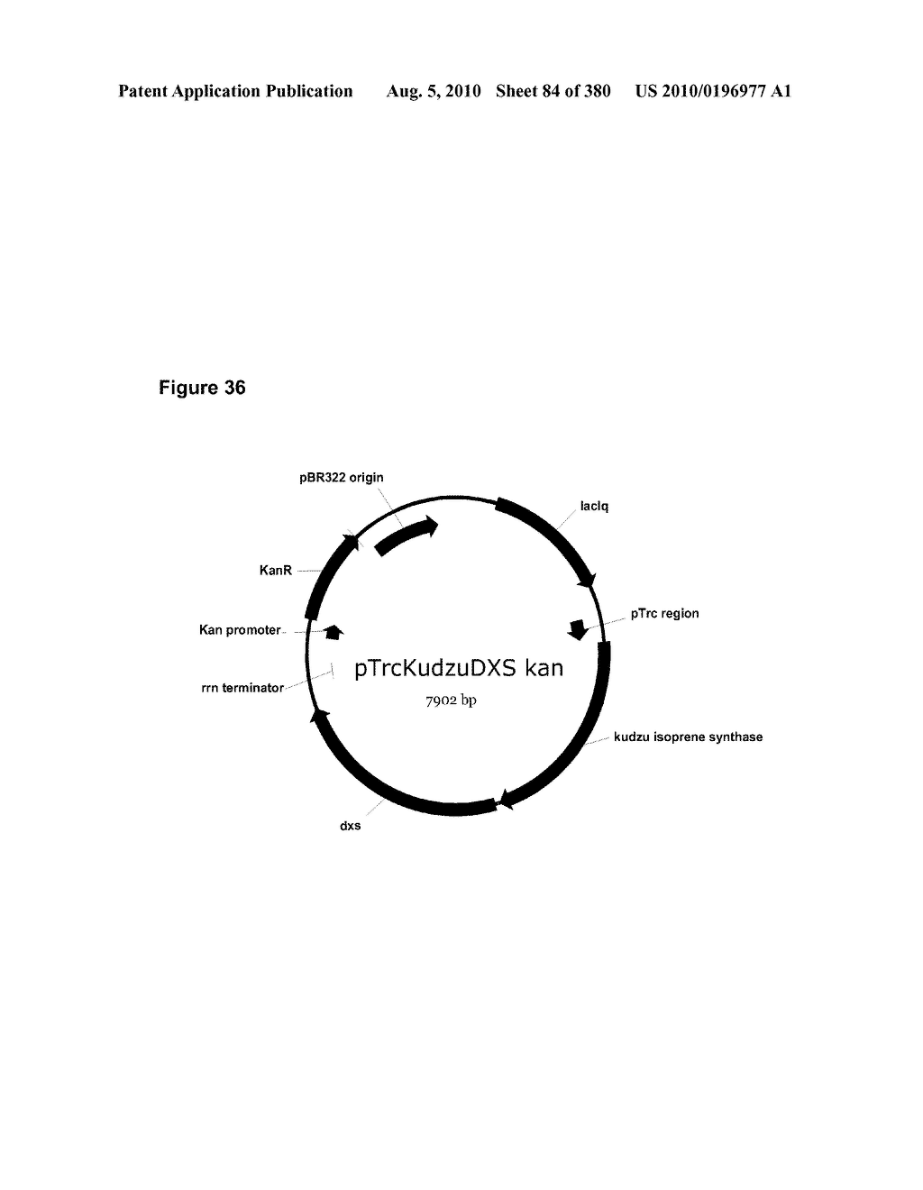 METHODS OF PRODUCING ISOPRENE AND A CO-PRODUCT - diagram, schematic, and image 85