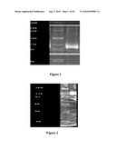 METHOD AND SYSTEM FOR LACTOSE-FREE OR LACTOSE-REDUCED MILK AND ASSOCIATED PRODUCTS, PRODUCTION THEREOF, AND ASSOCIATED PROCESSES diagram and image