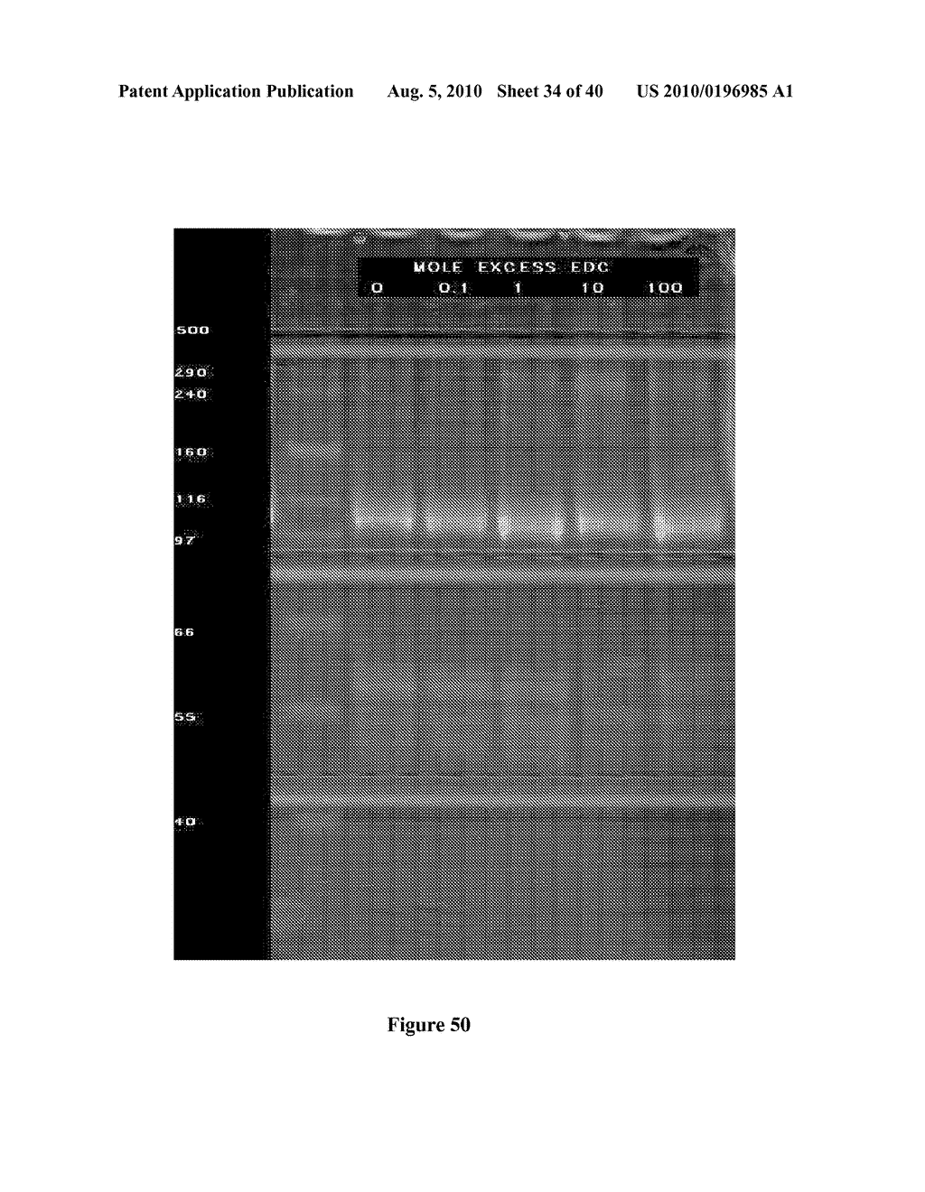 METHOD AND SYSTEM FOR LACTOSE-FREE OR LACTOSE-REDUCED MILK AND ASSOCIATED PRODUCTS, PRODUCTION THEREOF, AND ASSOCIATED PROCESSES - diagram, schematic, and image 35