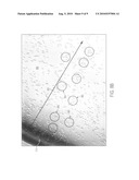 Microtiter plate to mitigate cell distribution bias from meniscus edge diagram and image