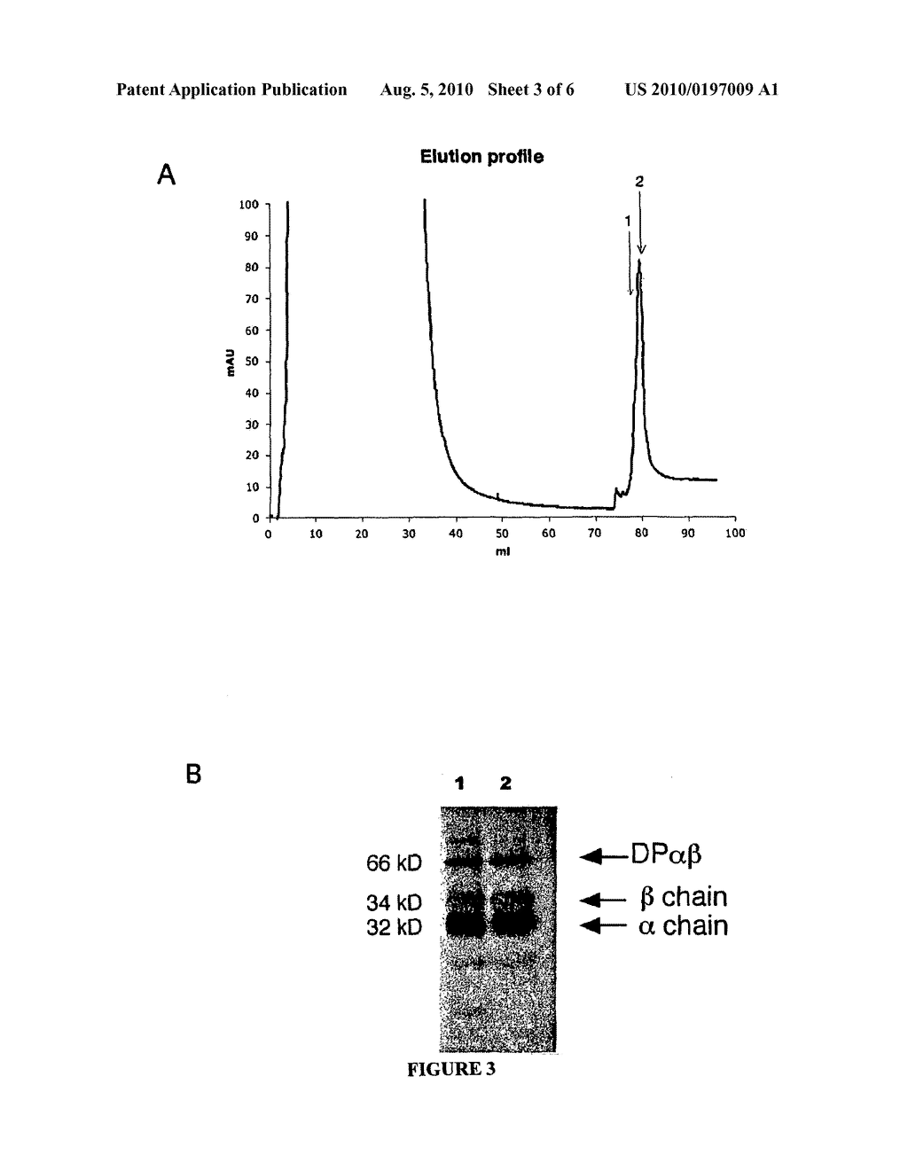 Antibody or Fragment Thereof Recognizing AvitagTM and Uses Thereof - diagram, schematic, and image 04