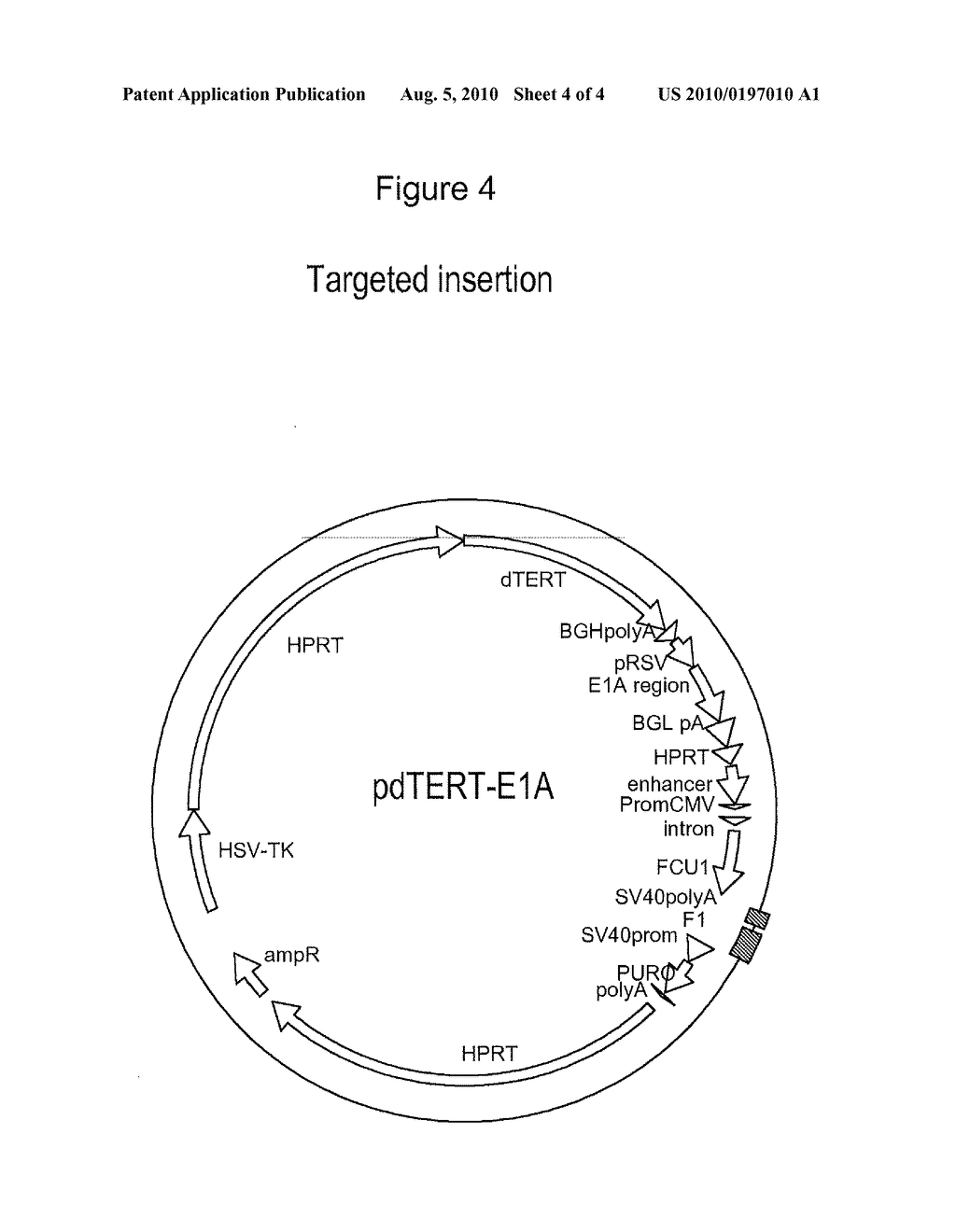 IMMORTALIZED AVIAN CELL LINES COMPRISING E1A NUCLEIC ACID SEQUENCES - diagram, schematic, and image 05