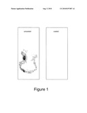 TITANIUM DIOXIDE LAYER WITH IMPROVED SURFACE PROPERTIES diagram and image