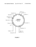 ORYZA SATIVA LTP PROMOTERS USEFUL FOR MODULATING GENE EXPRESSION IN PLANTS diagram and image