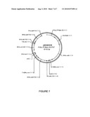 ORYZA SATIVA LTP PROMOTERS USEFUL FOR MODULATING GENE EXPRESSION IN PLANTS diagram and image