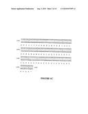 GLYPHOSATE RESISTANT CLASS I 5-ENDOLPYRUVYLSHIKIMATE-3-PHOSPHATE SYNTHASE (EPSPS) diagram and image