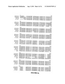 GLYPHOSATE RESISTANT CLASS I 5-ENDOLPYRUVYLSHIKIMATE-3-PHOSPHATE SYNTHASE (EPSPS) diagram and image