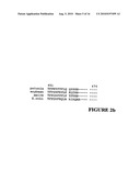 GLYPHOSATE RESISTANT CLASS I 5-ENDOLPYRUVYLSHIKIMATE-3-PHOSPHATE SYNTHASE (EPSPS) diagram and image