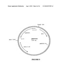 GLYPHOSATE RESISTANT CLASS I 5-ENDOLPYRUVYLSHIKIMATE-3-PHOSPHATE SYNTHASE (EPSPS) diagram and image