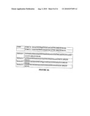 GLYPHOSATE RESISTANT CLASS I 5-ENDOLPYRUVYLSHIKIMATE-3-PHOSPHATE SYNTHASE (EPSPS) diagram and image