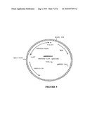 GLYPHOSATE RESISTANT CLASS I 5-ENDOLPYRUVYLSHIKIMATE-3-PHOSPHATE SYNTHASE (EPSPS) diagram and image