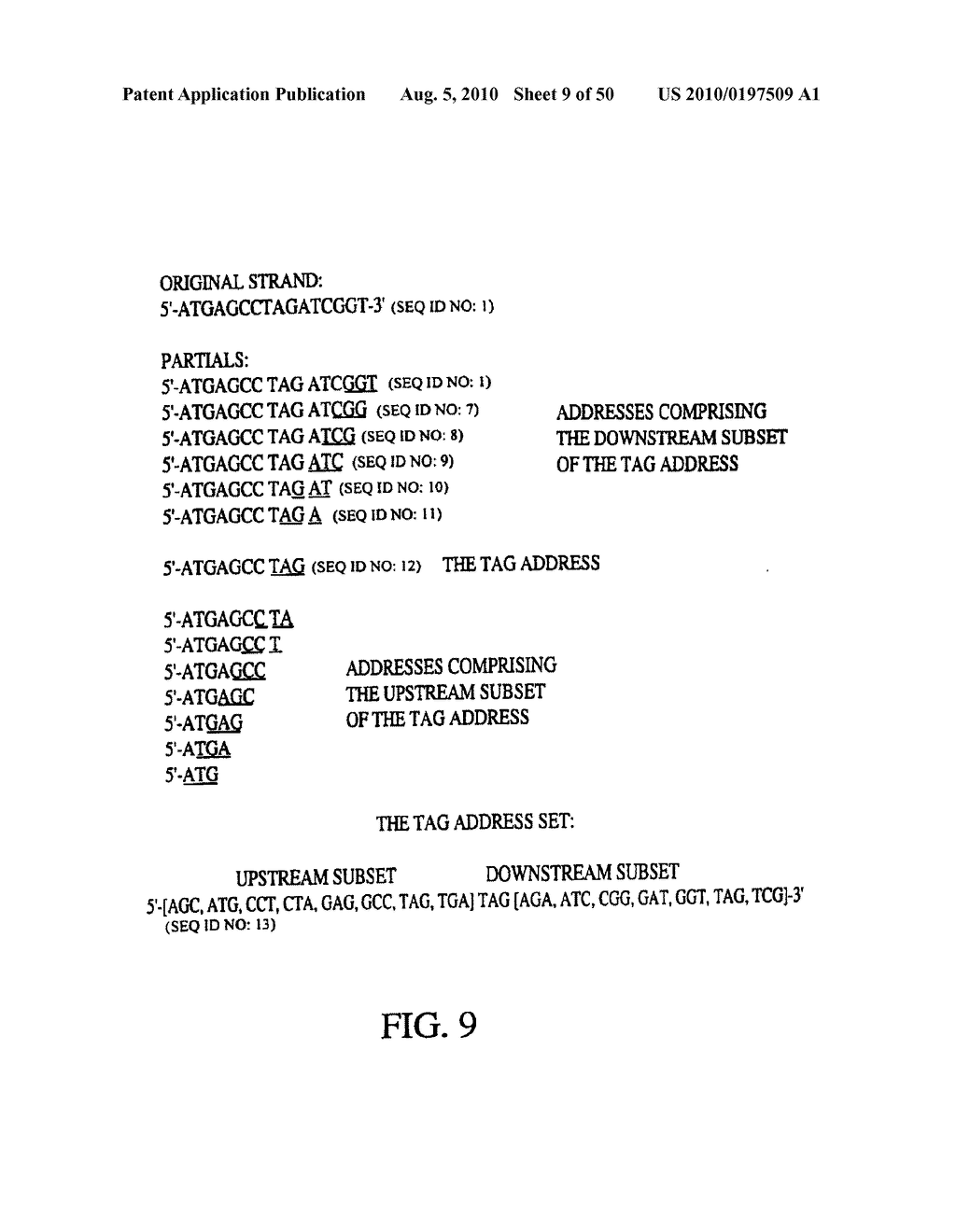 Novel oligonucleotide arrays and their use for sorting, isolating, sequencing, and manipulating nucleic acids - diagram, schematic, and image 10