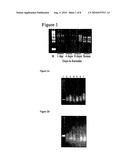 GENE EXPRESSION PROFILING FROM FFPE SAMPLES diagram and image