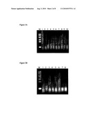 GENE EXPRESSION PROFILING FROM FFPE SAMPLES diagram and image