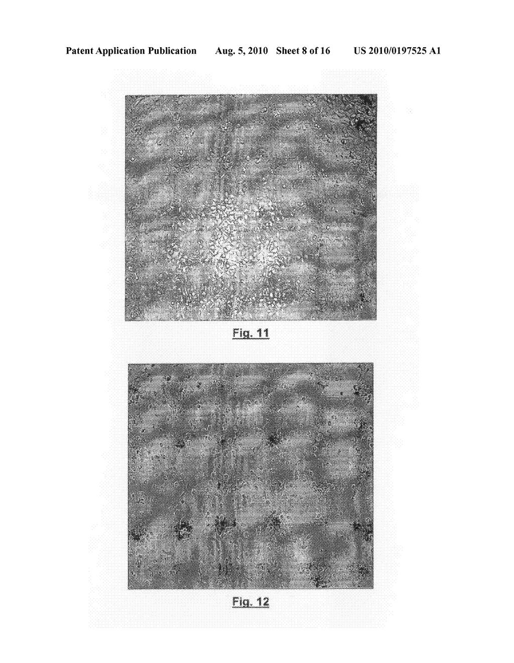 SUBSTANCE AND A DEVICE - diagram, schematic, and image 09