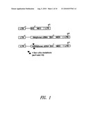 COMPOSITIONS AND METHODS FOR ALTERING ELASTOGENESIS diagram and image